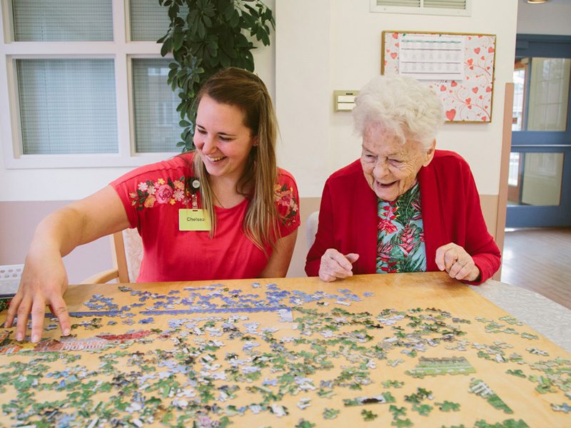 Montessori Puzzles