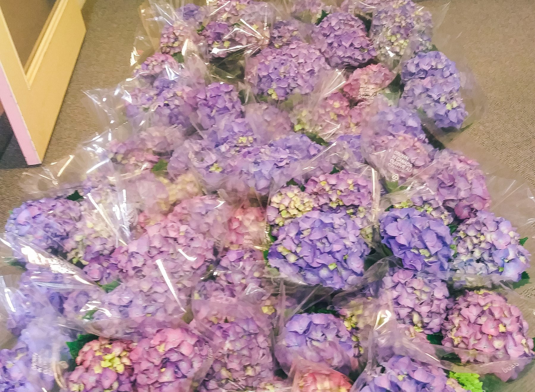 #flowers4heroes campaign