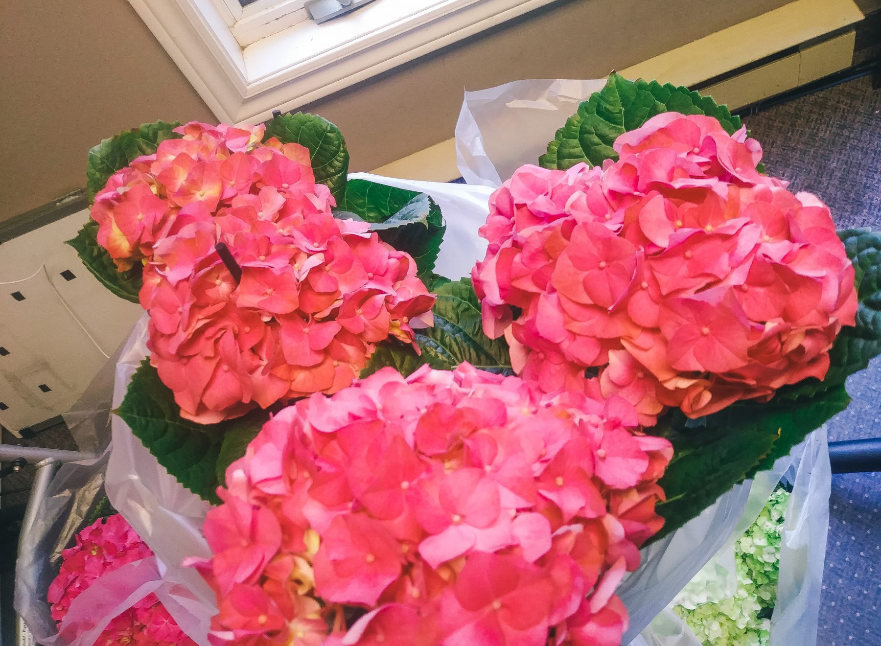 #flowers4heroes campaign