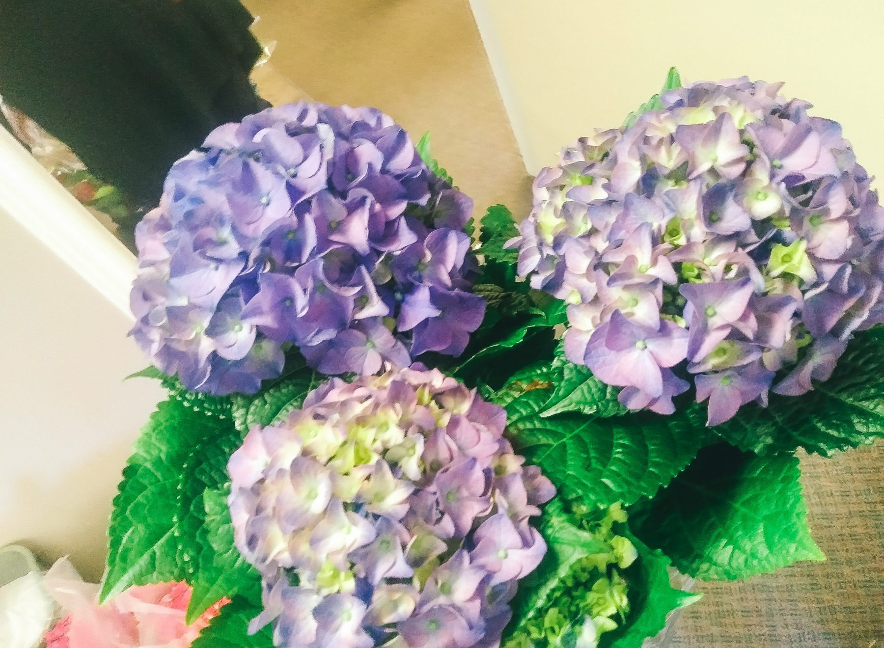 #flowers4heroes campaign