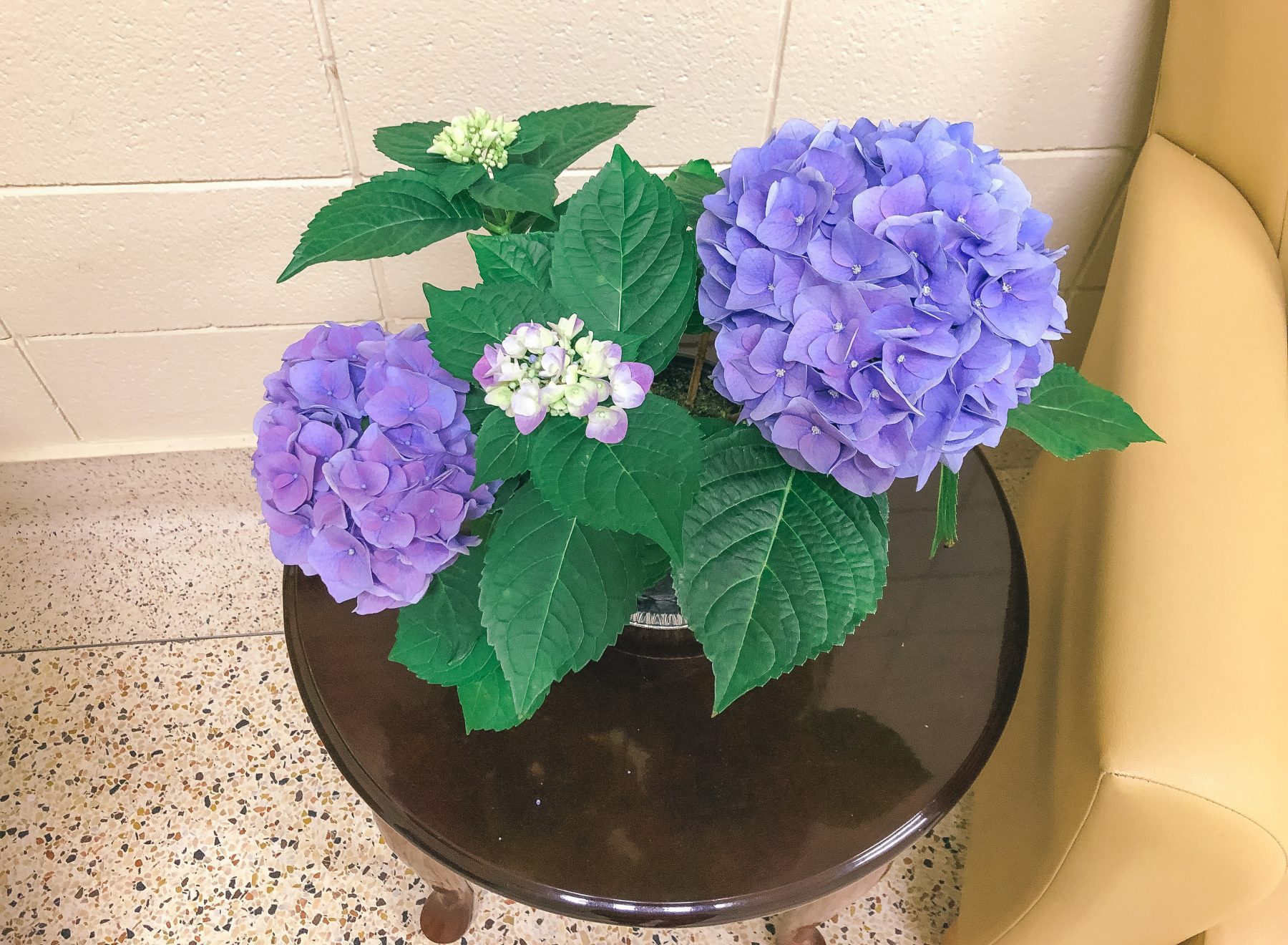 #flowers4heroes campaign