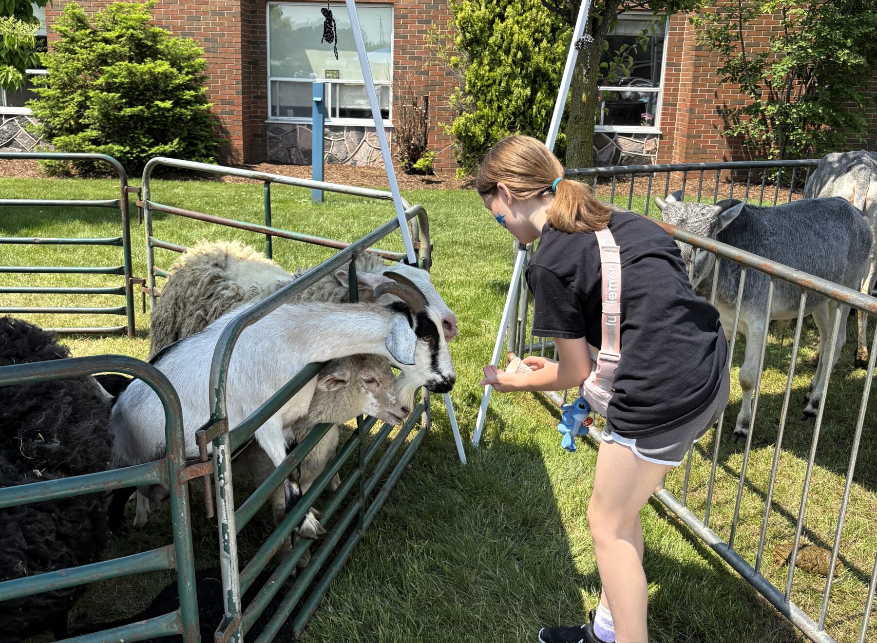 IMG 2252